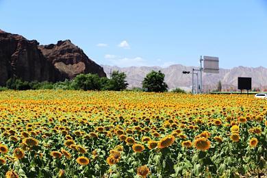 俄罗斯媒体称被《浩劫前夕》开发商起诉 因多次使用欺诈词语