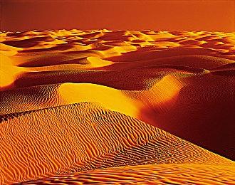 战略游戏《玩具帝国》Steam页面上线 发售日期待定