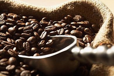 《饿狼传说：狼之城》角色阵容加入牙刀GATO